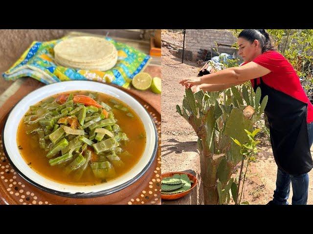 Sopa Ranchera de Nopales - La Herencia de las Viudas
