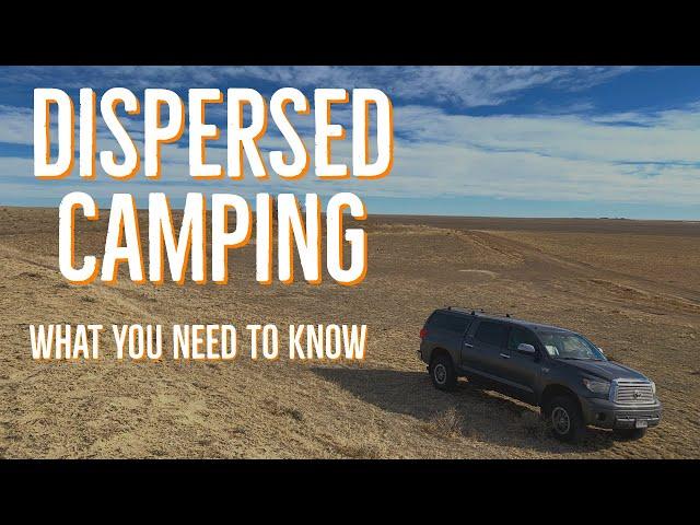 Dispersed Camping Colorado BLM & National Forest: Rules & Tips