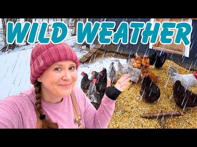 Alaska's Wild Weather! Embracing the Elements on Our Homestead Adventure!