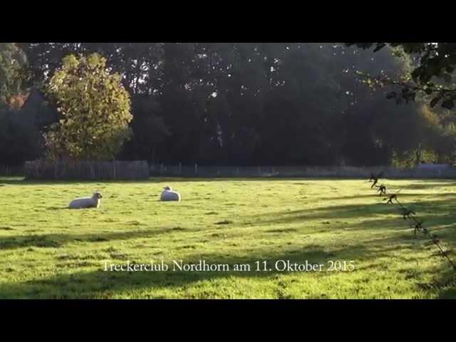 Tractor Club Nordhorn – Oldtimer-Meeting at the Tierpark Nordhorn