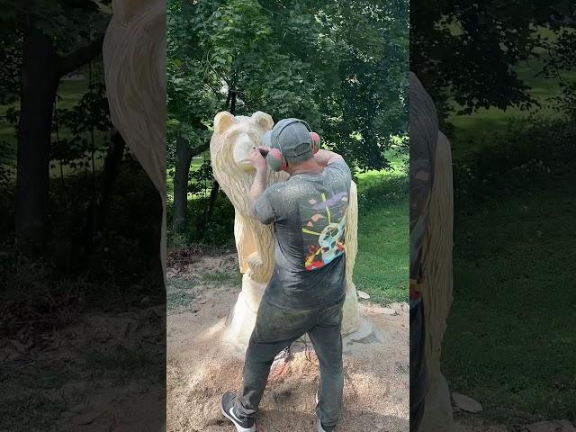 Chainsaw carving a giant bear #woodworking #chainsawcarving #tree #chainsawart #wood #wildlife #art