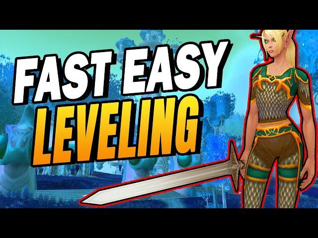 The ULTIMATE Wrath Classic Leveling Guide