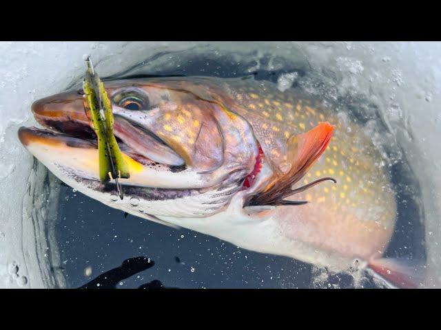 Best Ice Fishing Lures for Brook Trout