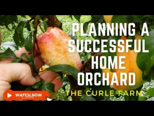 **PLANNING A SUCCESSFUL HOME ORCHARD - NZ lifestyle block**