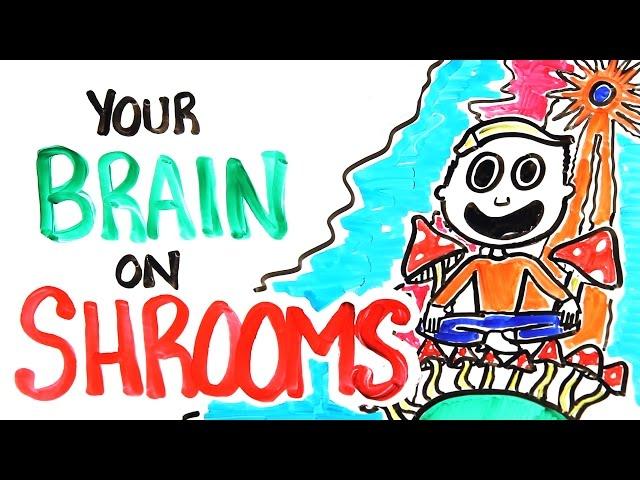 Your Brain On Shrooms