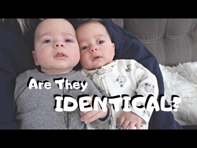 Identical or Fraternal Twins | Twin Mom