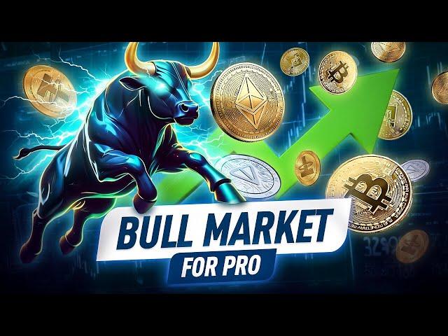 Bitcoin Bull Market 2024: How to Spot the Next Price Surge