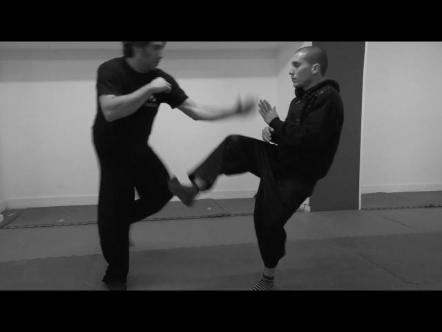 INTERNAL COMBAT (a combination of Xingyi and Bagua)