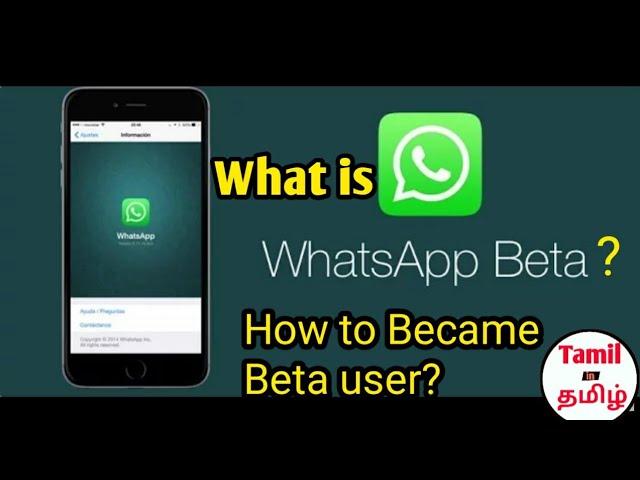 What is whatsapp beta? How to became beta user?|Tamil|TIT