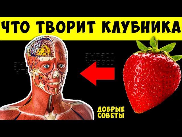 Вот что творит КЛУБНИКА с телом! 99% употребляющих НЕ ЗНАЮТ об этом!