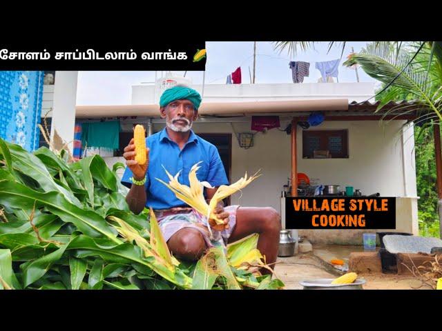 சோளம் அவிச்சு சாப்பிடலாம் வாங்க|Village Lifestyle Video in Tamil|Idhu Namma Route.#tamil#lifestyle