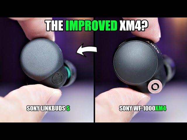 Sony LinkBuds S Review vs WF-1000XM4 - The BETTER XM4? 