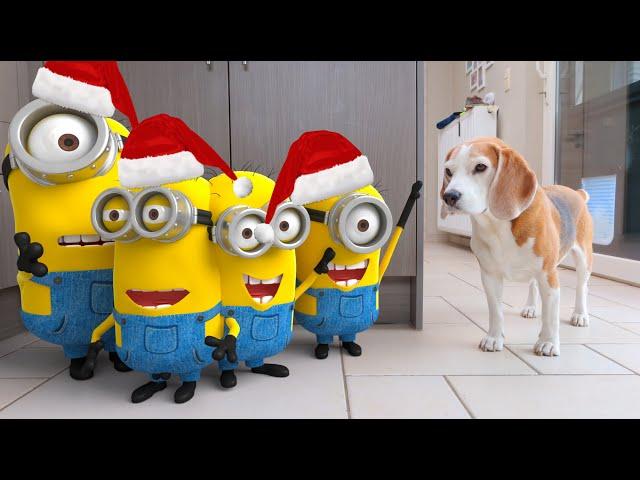 Animations in REAL LIFE vs Funny Dogs  | Christmas Minions Edition