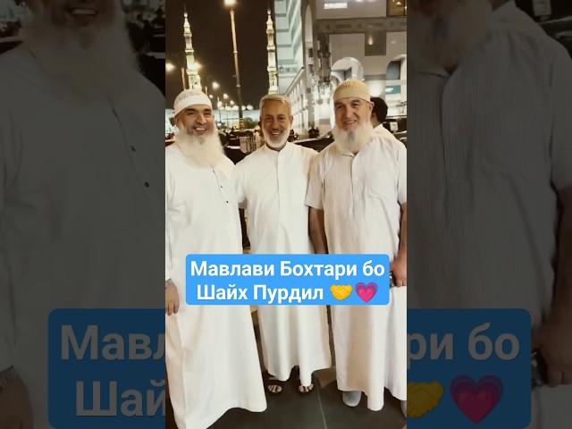 Мавлави Бохтари бо Шайх Пурдил  #мавлави #бохтар    #шайхпурдил #насихат