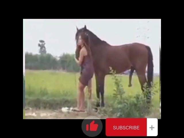 manusia vs hewan||kuda