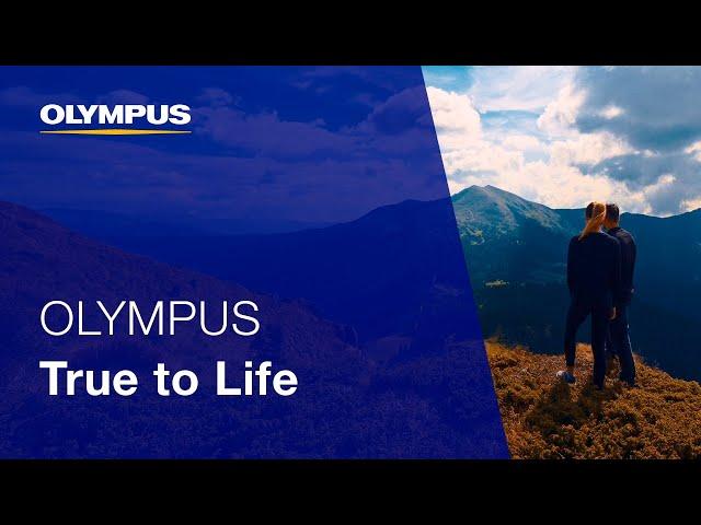 Olympus - True to Life