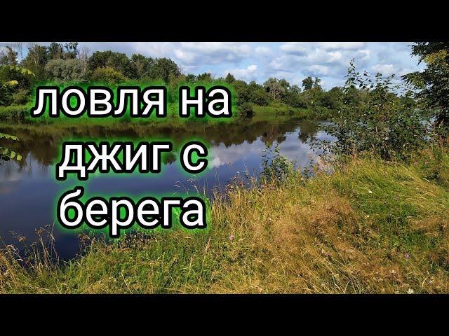 Откуда ОНИ здесь?! Ловил щуку на реке, а клевали ОНИ! Рыбалка на джиг с берега.