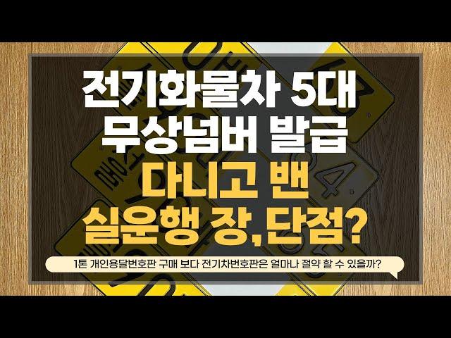 소형전기화물차(영업용전기차) 영업용번호판 발급 다니고밴 장단점과 선택한 이유?/1톤전기차 출고