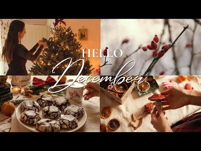 Hello December - Cozy Vintage Christmas Prep | How to have a peaceful December & restful winter