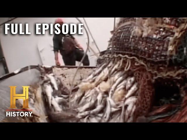 Modern Marvels: How Fishing Feeds the Globe (S10, E65) | Full Episode