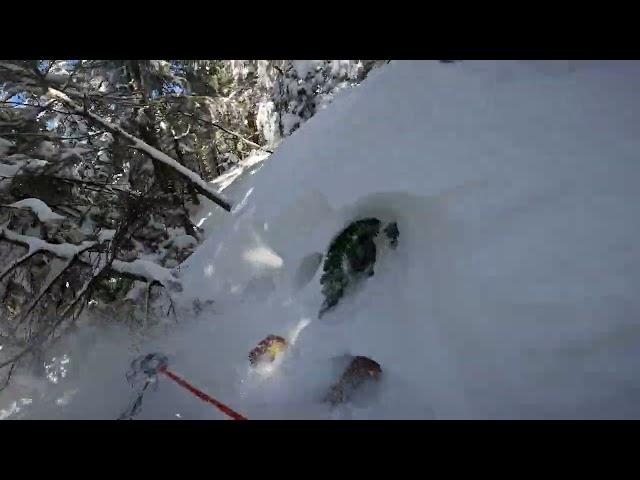 Sunny Days - Survey Line - Smuggler's Notch (2024)