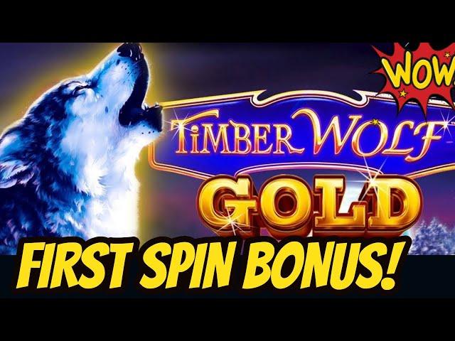 FIRST SPIN BONUS! Timber Wolf Gold & Take the Ticket