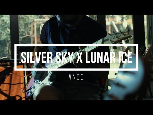 PRS Silver Sky Lunar Ice #NGD