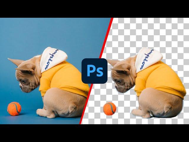 How to CUT OUT IMAGES in Photoshop 2023 [For Beginners]
