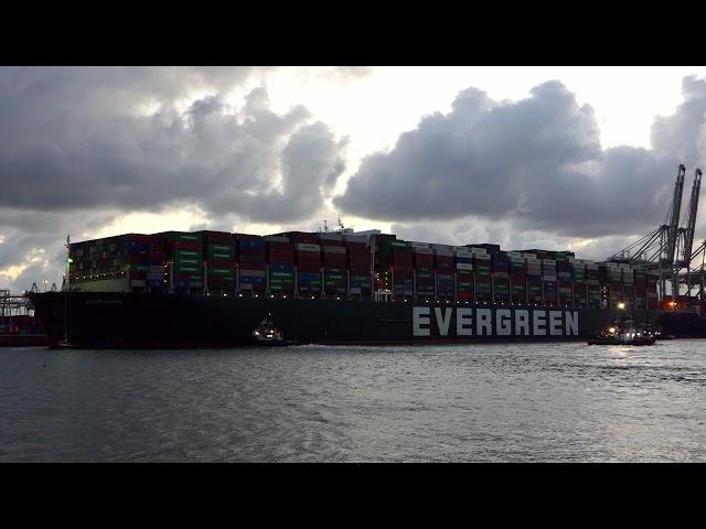 The 400M long Full Loaded EVER GIVEN in Rotterdam after accident in Suez Canal #248