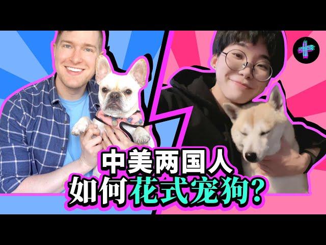 爱狗如命? 中国人和美国人都是怎么宠狗的? How Chinese and American People Spoil Their Dogs?