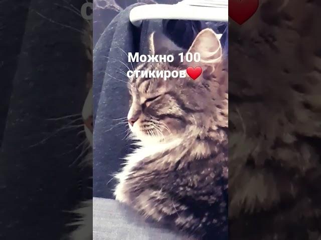 пожалуйста #мультканал