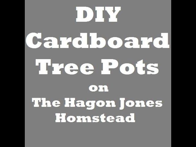 DIY Cardboard Plant Pots