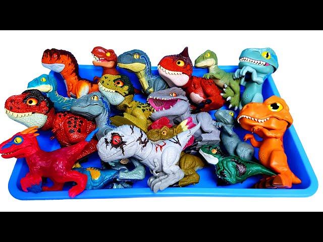 Various Dinosaurs Sound & Moving, Goo jit zu Dinosaurs T-rex Raptor Blue Pyroraptor Atrociraptor