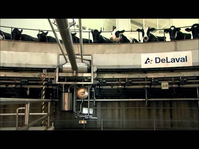 DeLaval PR3100HD Parallel Melkkarussell | Das ultimative Melksystem für große Milchviehbetriebe