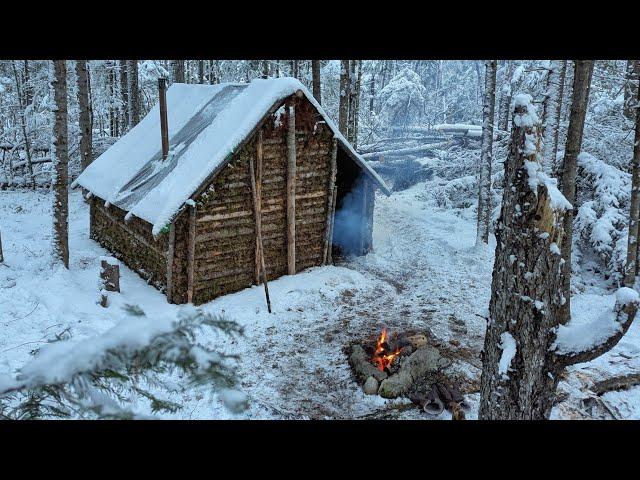 Ice Cold Tiny Cabin in a Frozen Forest – Winter Camping Snow Fall