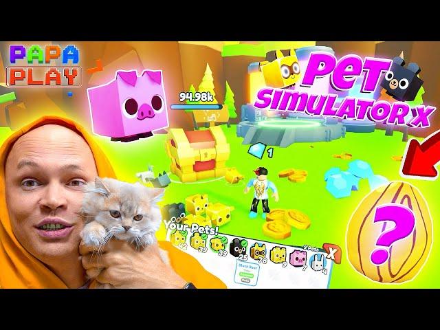 ЗАЛИП в Pet Simulator X