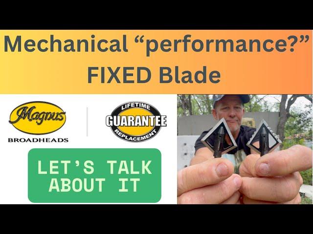 Best Fixed Blade that has Mechanical "Performance" (Magnus Black Hornet Review)