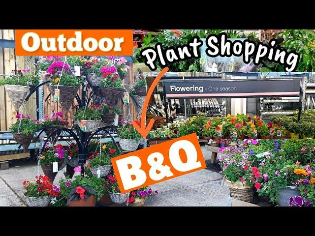 B&Q  Garden Center Tour UK   | Houseplants and Outdoor Plants 2024  |
