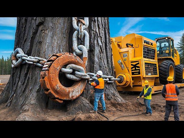 Extreme Dangerous Fastest Big Chainsaw Cutting Tree Machines | Monster Stump Removal Excavator #79