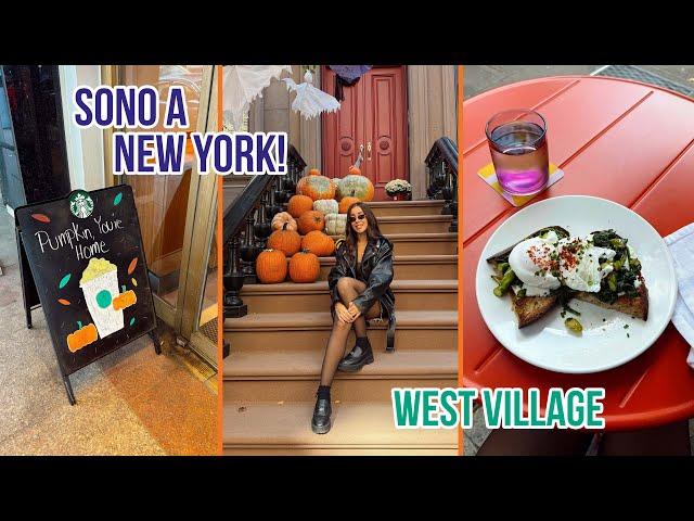 DUE SETTIMANE DA SOLA A NEW YORK!!  parte uno | NYC VLOG 13/10/24