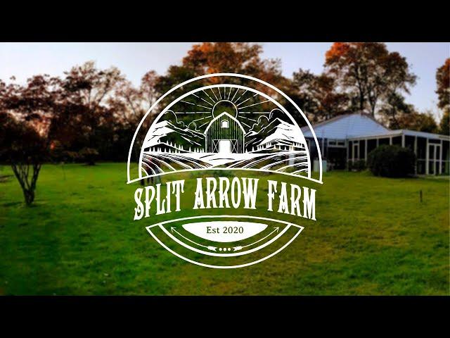 Welcome to Split Arrow Farm | The Journey of New Homesteaders