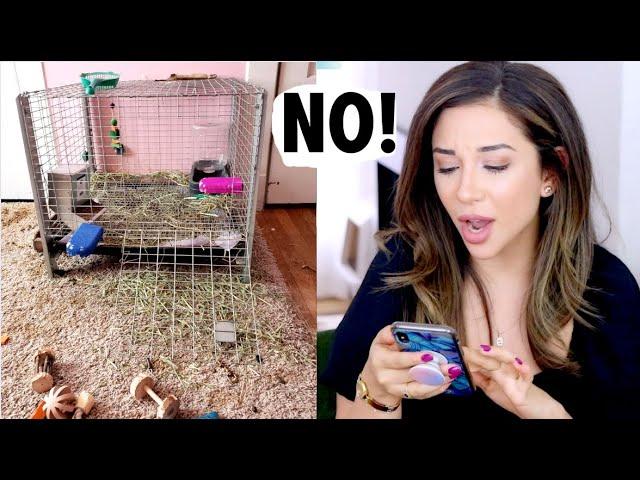 REACTING TO OUR SUBSCRIBERS RABBIT HABITATS! | PT. 2