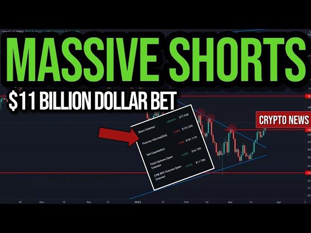 Short Sellers Double Down! $11 Billion Dollars | Latest Crypto News