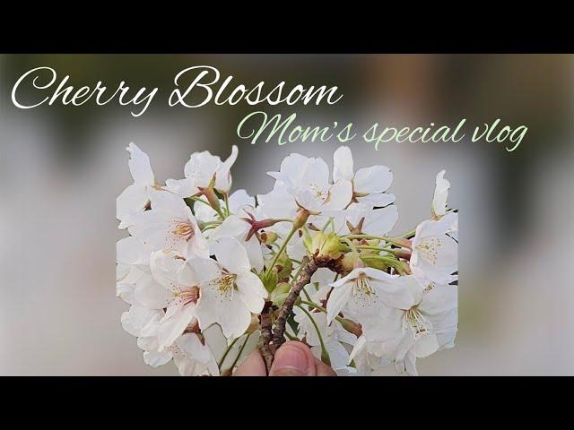 Mom’s Special: One More Trip Around the Sun—With Style, Smiles, and Shopping | Kiko Milano | Walmart
