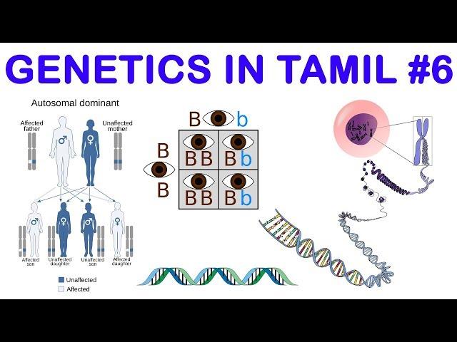 Genetics in Tamil 6: Variations from Mendel Principles - Rajus Biology