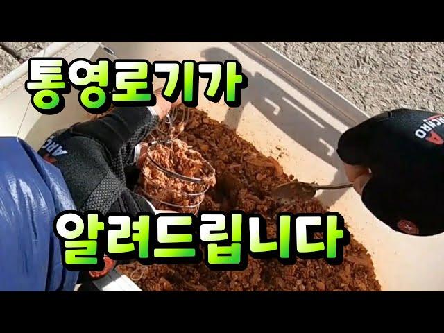 [통영로기] 270회 이것만 알면 카고낚시 승률UP  ( 영상 클릭하면 이득 )