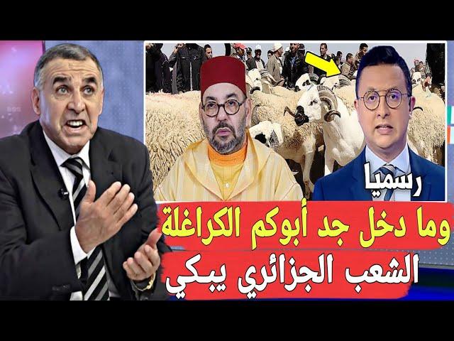 أقـوى رد على الإعلام الجزائري لماذا تتكلمون عن المغرب صباح مساء ما دخلكم يا كراغلة