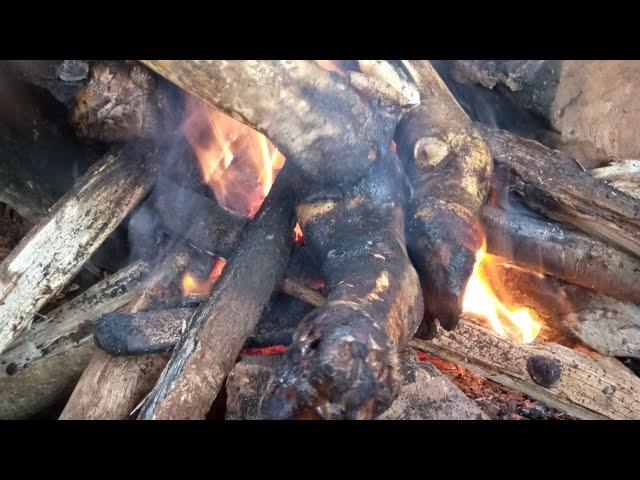 Cooking cow legs in the village