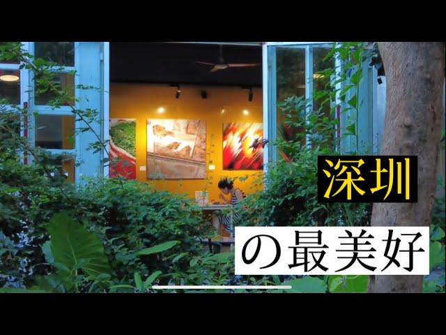 可能是深圳最美好的地方 | 華僑城創意文化園 | OTC-Loft | 粵語中文字幕 | 沉寖式線上旅遊體驗