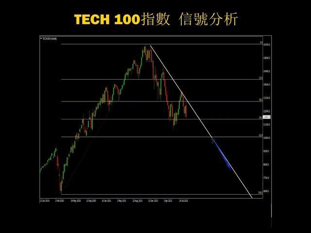 TECH 100指数交易分析 #美股 #外匯